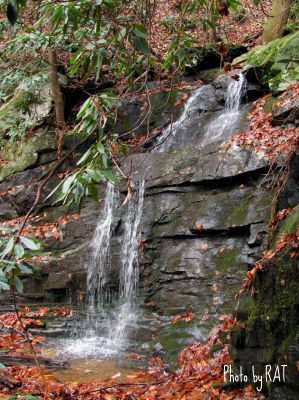 Lower Wilderness
Sometimes I confuse myself! This is the lower part of Wilderness Falls and is followed by some pretty steep cascades to the trail below.
