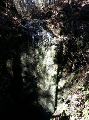 Worth the effort?
This is a part of Florida most have not heard of but, being in the area I took the drive and was surprised it was really a waterfalls.
