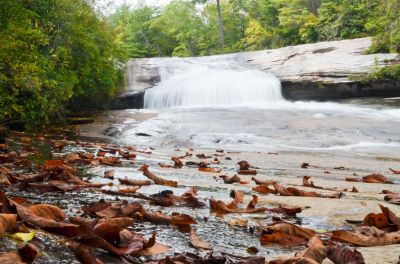 Top Of THe Veil
Bridal Veil is located in DuPont Forest and is a very high falls and with normal waters spreads over a large cascade. The top of the falls, shown here, is where the movie Hunger Games was made.

Only gave it a * rating but, that is to the bottom and expect a 4 plus hike on a good road.


