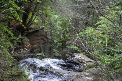 Big Nose Left
Same big nose on the left but, from the top of the falls
