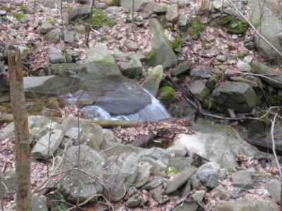 Just playing possum.
