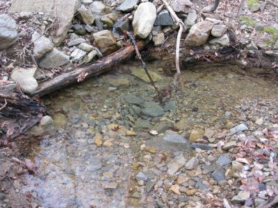 Should have called this Lost Creek
After leaving the Freewill Baptist Camp (really niece folks) the creek suddenly went into a spring??? After becoming acquainted with all the down pines on the mountain side we blundered into where the creek disappeared into the ground, yep, just soaked in the ground. This is not a trickle but, a pretty good creek and it went underground to the spring. footnote: Only springs I saw in the Coast Guard ere made of metal.
