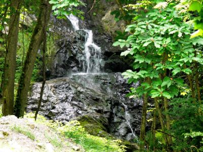 Clear Branch Falls (lower)
This falls is on private property but, can be seen from the road. Always ask before entering someone else property

