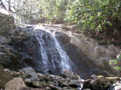 Clear Branch Upper_1200x900.jpg