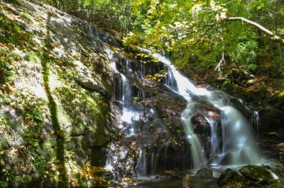 Dill Falls
I give Dill Falls a ** because of the final 0.1 miles down to the base of the falls. Very steepbut, with trees and laurel to hold on  to. Coming back up that slope, best way you can.

When you come down the forest road proceed past the "y"where NF 4663B and NF 4663A fork, stay on the left fork or 4663B, until you reach N35.28349.   W082.94353. On your left you should see a trail with a "jeep trap".

Take that trail until it runs out, about 0.3 miles, then veer slightly to your left and follow the falls soun

