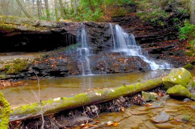 Processed
Some purist may not like processed photos but, sure beats dodging prints from film.
