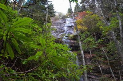 Fall Colors
Fall colors can be seen up on top of the falls. With a little assist from the Roaming Knob the laurels parted for this photo.
