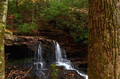 Framed
Framed Laurel Run between these tow trees just for the fun of it. Good place to have an easy hike and try my new Nikon D5100.
