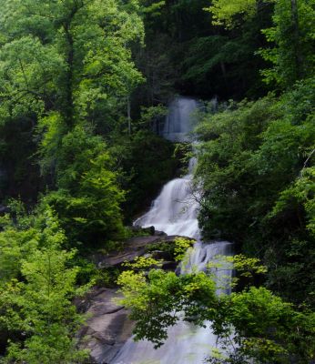 Right Side
This element, viewed from downstream at the observation deck is on the right side of the creek. Seems to cme out of the forest.

