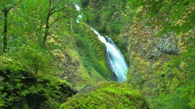 Hey, what about me?
Less than a mile from Multnomah Falls and just as high.
