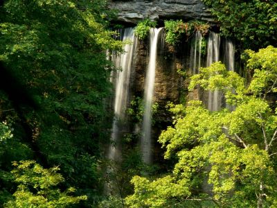 Falls Without A Creek
This part of Rock Island Falls comes out of a cave. Enlarge the top and you can see there is no creek. 
