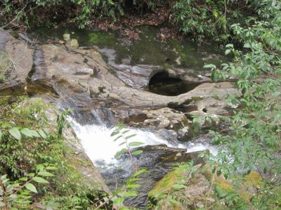 Potholes
Found these interesting potholes just below Courthouse Falls.
