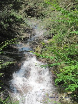 Hickey Branch, W. Fork, N.C.
Short, moderate hike from trail head about 1.2 miles away. Photo By Lou Pesch(crew member)
