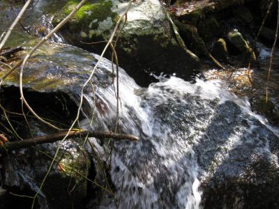 that's kind of pretty.
