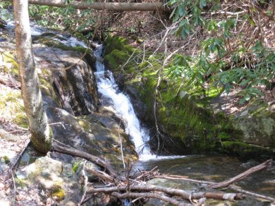 Lower Falls
A small water flow I suppose! 

Haven't been hiking waterfalls very long at this stage of my new hobby and wellness program.
