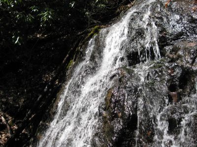 Long Branch Falls
This hike was about two miles, one way, with 0.5 miles of laurel bushes.

Classify this one as moderate to tough.
