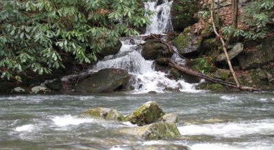 Backbone Branch Cascades
Just across the road from Backbone Falls and in the campground, Backbone Branch Cascaeds empties into Beaverdam Creek.
