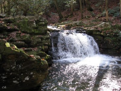 Jennings Creek Falls
A series of small falls along Jennings Creek in Greene County, TN.

Easy access by road, turning right just before entering Horse Creek Park. Park at old Forge.

36.08979,-82.68210
