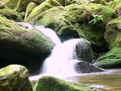 Touch up
This is a color touch-up of Mineral Creek . The ambient light made the whole thing too green.
