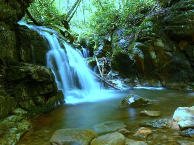 Color My World Misty Blue
Just could not resist doctoring this one a bit due to it's name.
