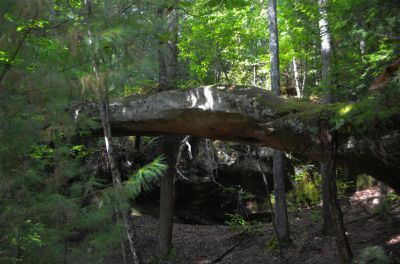 Needle Arch
Located in Big South Fork National Recreation Area is Needle Arch, a 35 ft high arch with a tree growing through it  and another sitting on top.

