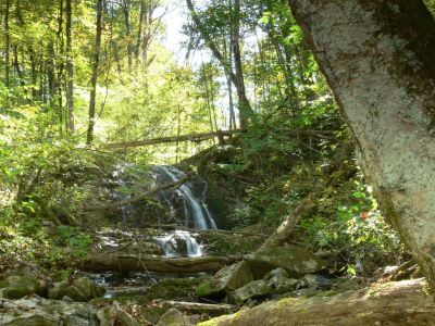 Storm Damaged McGinnis
Just Hwy 19E and down the Clinch River a ways is McGinnis Falls. Storm damage is very evident.
