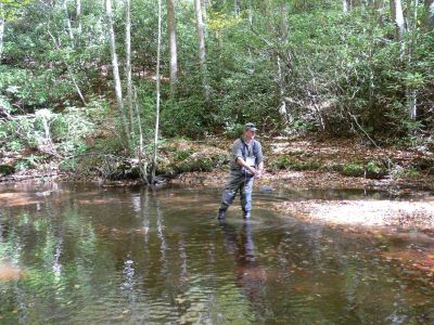 Aaron Youngstrom
Aaron, from Cincinnati  and a friend he was visiting from Johnson City, TN, near the OA roost, qualified by hiking with us to Upper Laurel Falls.
