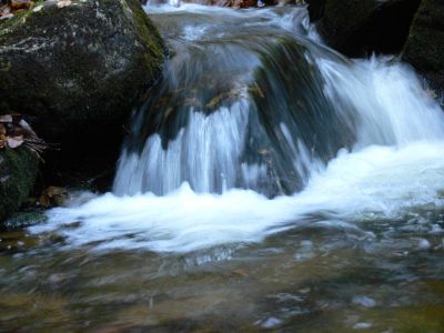 Niece Creek
We are already getting some pretty cascdes
