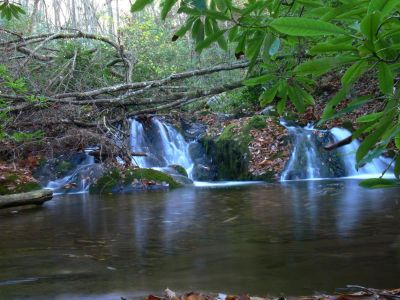 Blow Down
another pretty pool with lots of laurel leaf covered rocks and moss.
