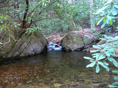 Pretty pool lots of laurel
must be a good enviroment for laurel bushes.
