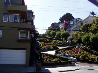 Lombard Street
Lombard Street, San Francisco, California, is supposed to be the most crooked street on earth.

Lot to be said for drinking while surveying.
