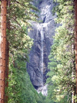 Yosemite Falls
Unfortunately we visited Yosemite during a dry period.
The falls is reported to be 2,425 ft high and it looked every foot of that.
