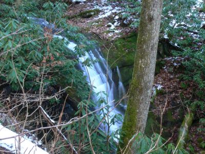Oblique Marys Falls
Just before venturing down to the bottom of the falls.
