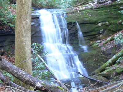 Thanks Mary
Thanks Mary, wherever you are. The falls is great and made even better by the strenuous hike to it.

On the round trip we rock hoped  the creek 34 times. The last half mile off trail in a timber strewn creek.
