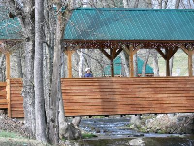 The Covered Bridge at Surgoinsville
