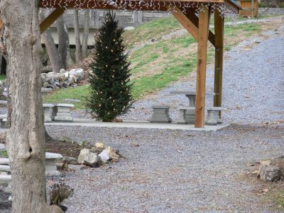 The SurgoinChristmas Tree
Christmas in Small Town Tennessee
