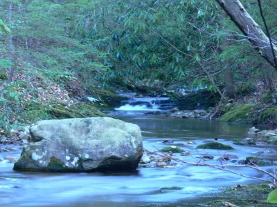 Painter Creek Beauty
Almost home after a tough winter hike.
