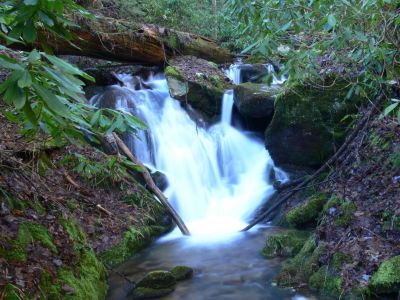 Under The Log
Burchfield Falls under the log an on to Lower Higgins Creek Falls.

Temple Hill Exit off I-26.
