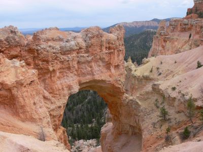 Bryce
Bryce National Park, UT
