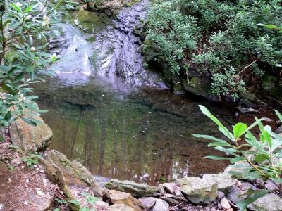 Two Creeks
The two creeks merge just below the small but, pretty falls.
