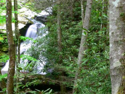 Nothing little about this falls
Lots of water with an estimated 100 ft falls.
