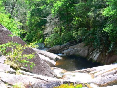I did come back!
I don't like top down photos but, this one shows my destination, the rock where the water disappears.

My first visit was a flop. This time, with a little more experience
(how much more experience does a 74 yr old goat need) I made it to the top. 
