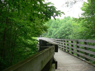 Creep across this
So high it's scary. Located between Green Cove Station and White Top Station.
