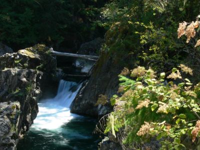 Little Qualicum Falls-4
Whatcha think? If you like neither then I'll blame it on the ever present Sunshine.

Vancouver is know for it's cool misty climate but, we had ten straight days of brilliant sunshine. Niece for touring but tough on waterfalls photography. 
