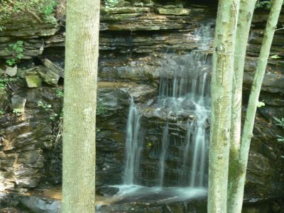 Framed
This Falls framed by the trees.

