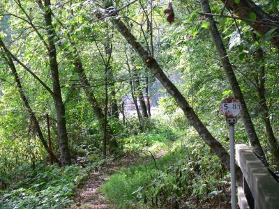 Mile marker 5.8 
End of the trail at mile marker 5.8, punctuated by an oncoming train. This is where the spur from Coeburn, Va. connected to the Clinchfield, now the CSX. railroad.
