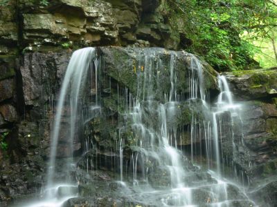Early Fall
The rains still have not come to Margariette, making them rather dry.

