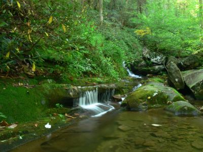 OA WORLD
It's hard when friends want to see a particular waterfalls and one must put up with this blighted scene on the way in.

Some body has to be Oaldalbatross. :)
