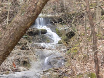 Reedy Creek Falls 1
Located near Kingsport, you can stay in the car and see this one
