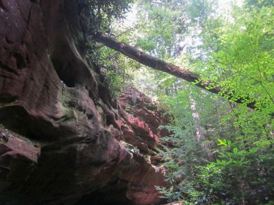 Dry
Don't drive to Big South Fork to photograph this falls unless there has been significant rainfall.

I would classify this as a wet weather falls.

That said, Needle Arch is just down the trail, less than half mile.

